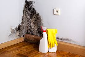 Best Industrial Mold Remediation  in Welcome, NC